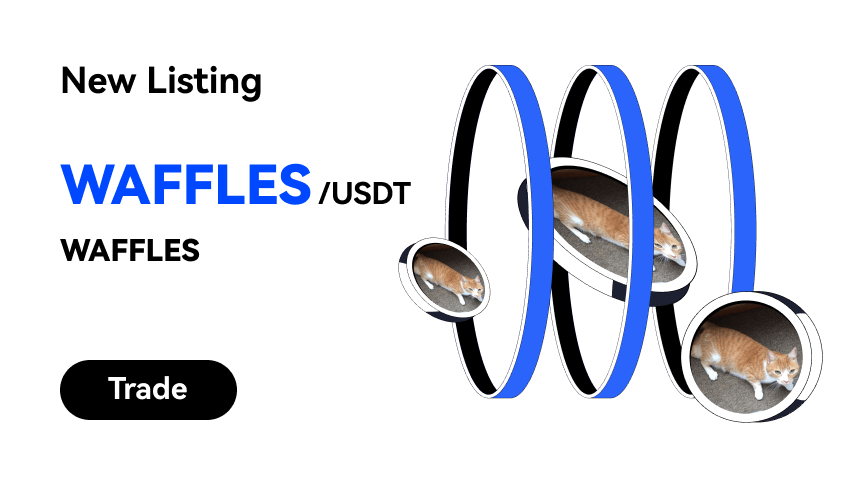 WAFFLES_EN_WEB.png