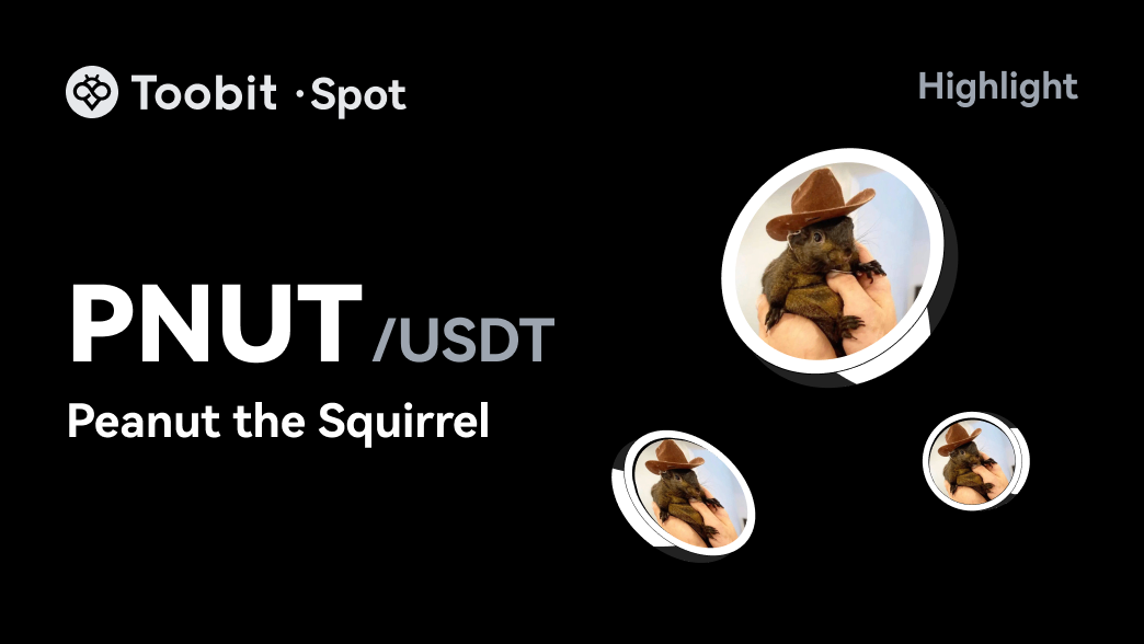 PNUT_EN_WEB.png