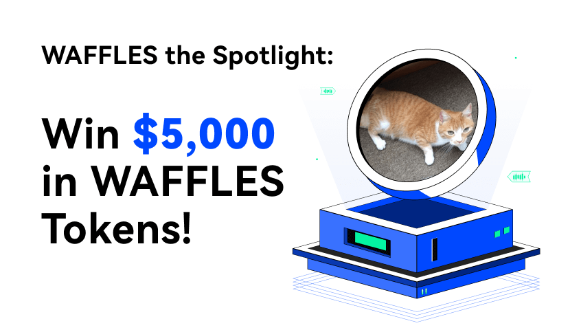 WAFFLES the Spotlight_JP_WEB.png
