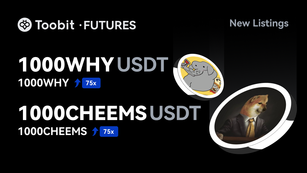 1000WHY1000CHEEMS_EN_WEB.png