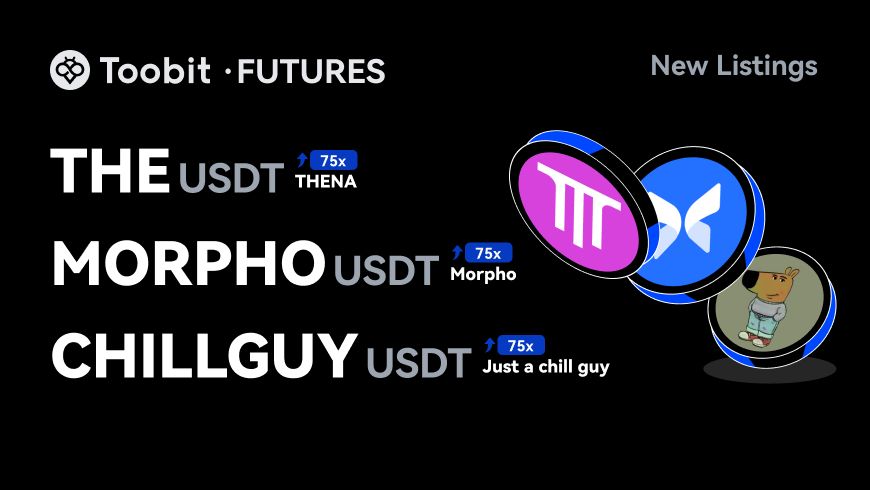CHILLGUY MORPHO THE_EN_WEB.jpg
