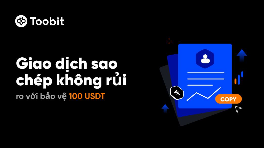 vn_WEB.jpg